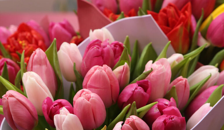 【美品】新月と牡羊座 帯あり 牡羊座新月のラッキーアクション】風の時代、未来への「恩送り」を