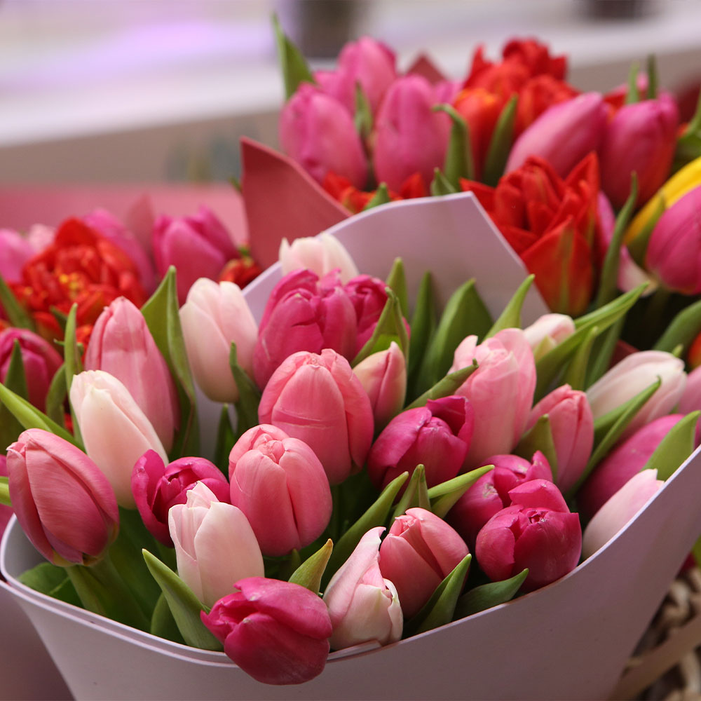 牡羊座新月のラッキーアクション】風の時代、未来への「恩送り」を