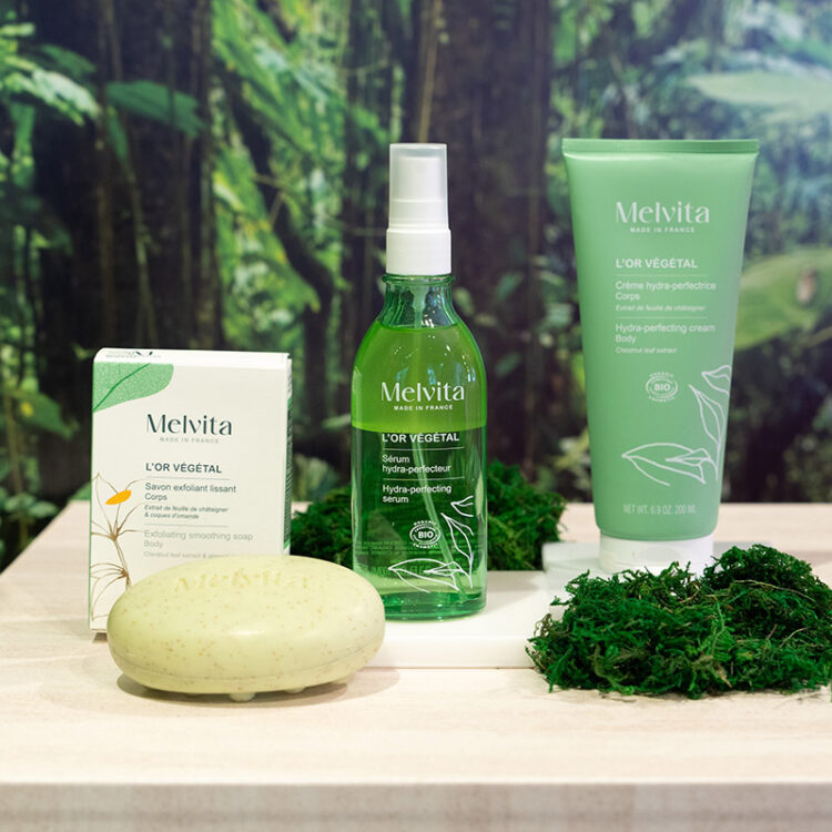 自然の再生力で、想像を超えた美しさへ。新生【メルヴィータ】の発表会