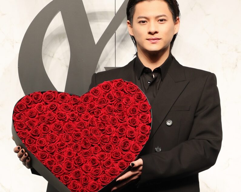 YSL♡ プロフご一読ください♡ YSL ザ インクス ヴィニルクリーム 611 モーヴ プロヴォケーション