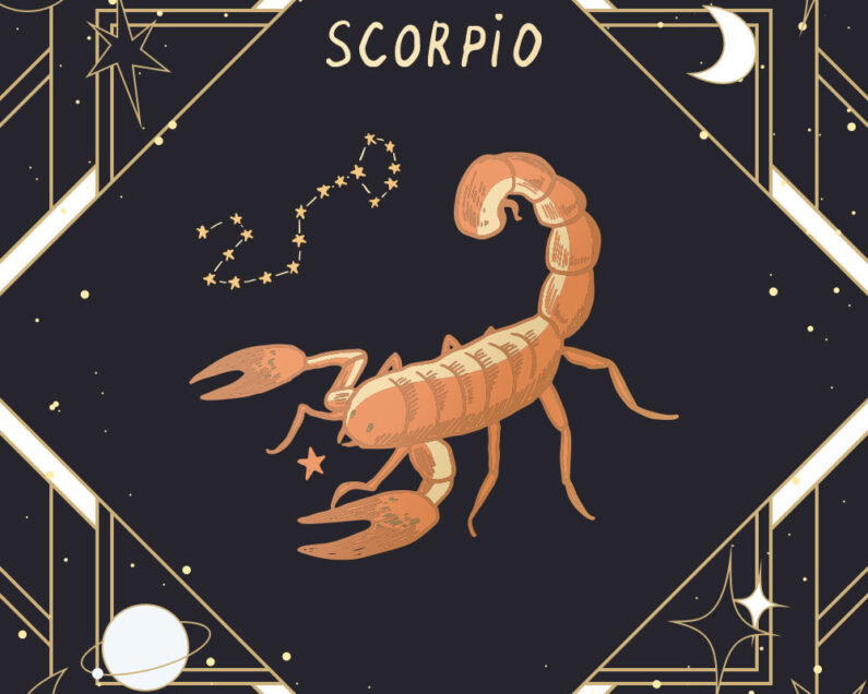 12星座モチーフ銀貨 蠍座 12星座モチーフ銀貨 蠍座