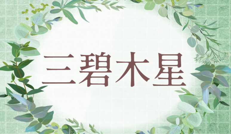 李家幽竹の開運風水】三碧木星は自分のステイタスを上げよう！【2025年
