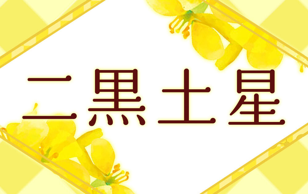 李家幽竹の開運風水】二黒土星は増やして、満たして、吸収する【2026年