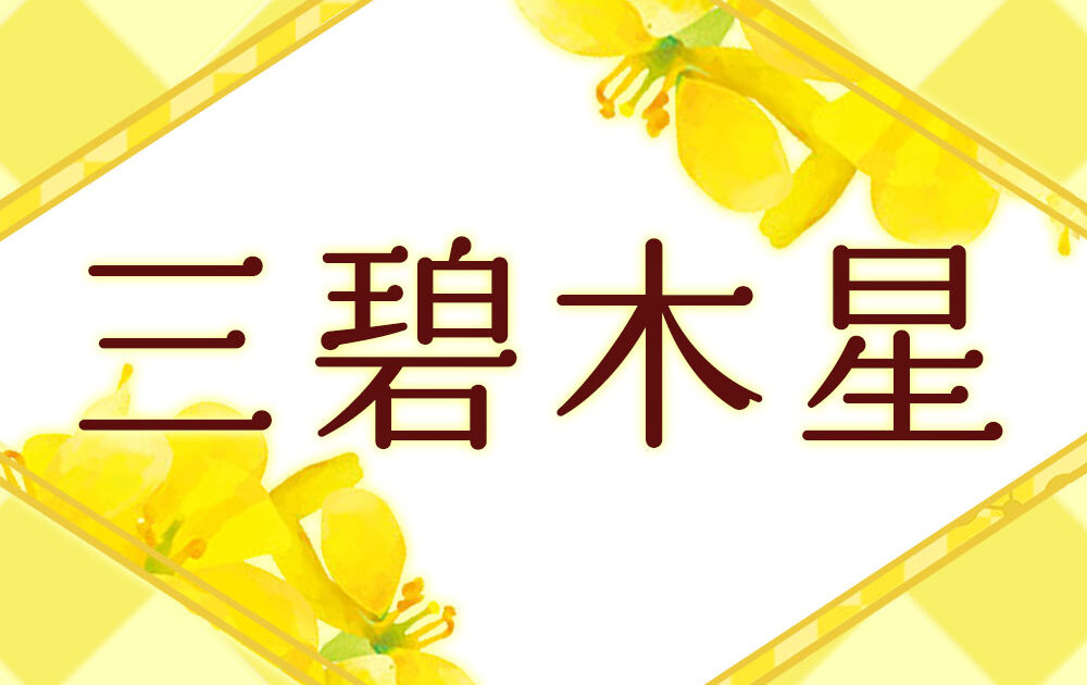 専用　方位凶殺避け三碧木星は令和6年2月4日から八方塞がりお持ち下さい☯ 2025年1月 三碧木星の運勢】八方塞がりの月です、自分を見直すのが吉