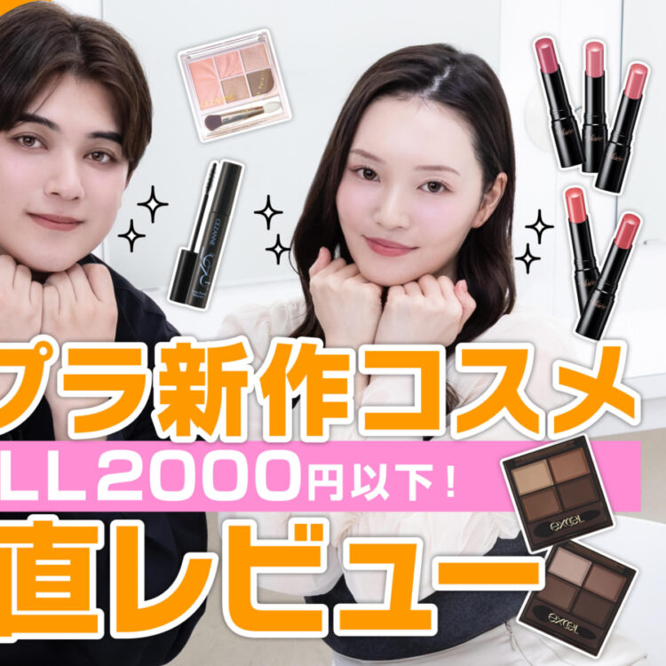 2月発売新作！話題のヴィセネンマクフェイク ルージュ Ⅱ＆定番