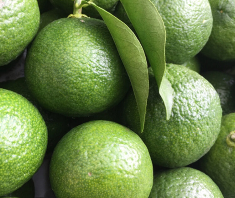 その肌 接近戦ok あなたの毛穴を消す方法 ビューティニュース 美容メディアvoce ヴォーチェ