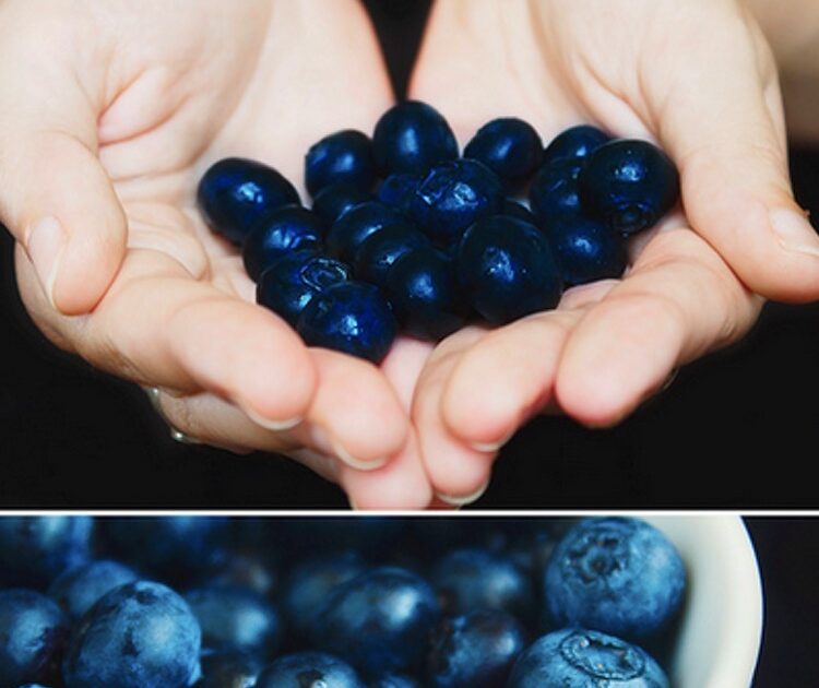 ビューティニュース 叶姉妹も注目 脂肪燃焼に効く 21 スーパーフード 21 アロニア 美容メディアvoce ヴォーチェ